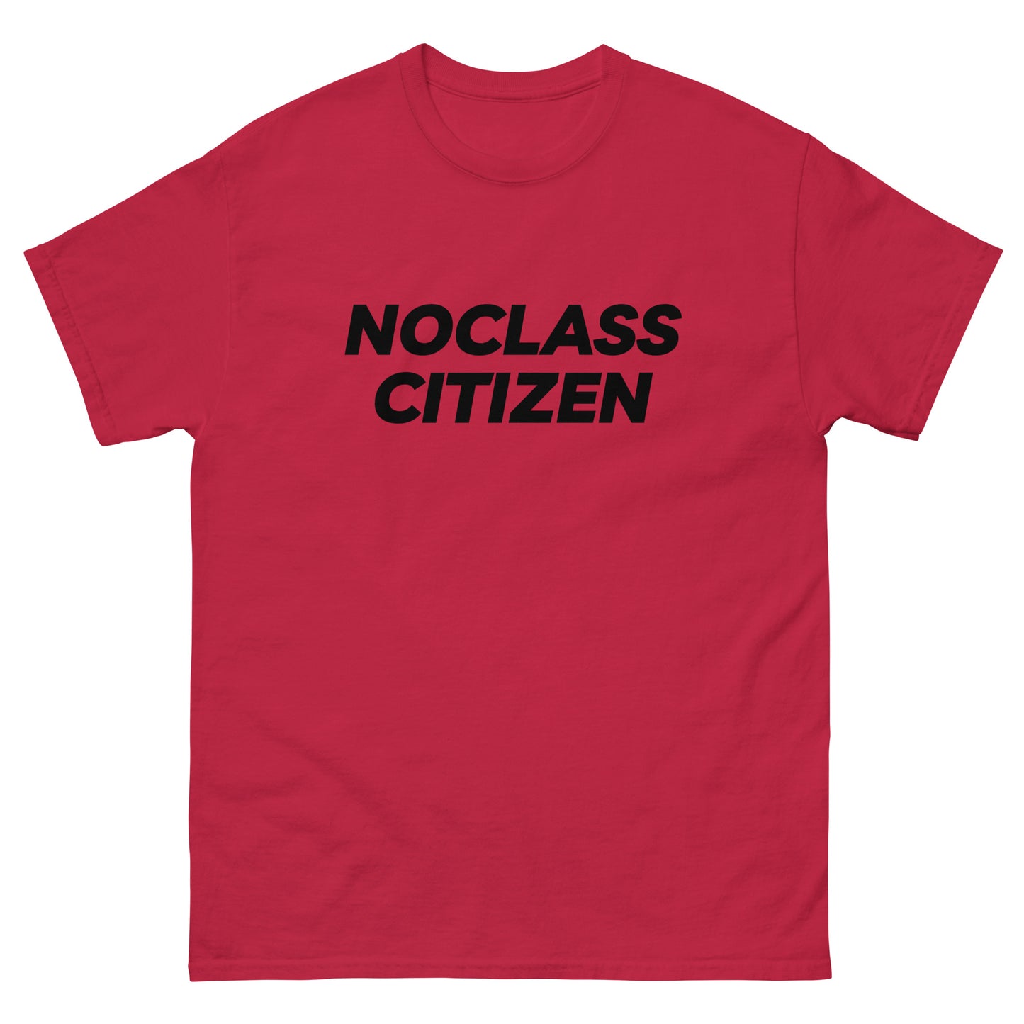 NOCLASS CITIZEN Text TRANSPARENT BACKGROUND - [Mid Class $$] Regular T-Shirt