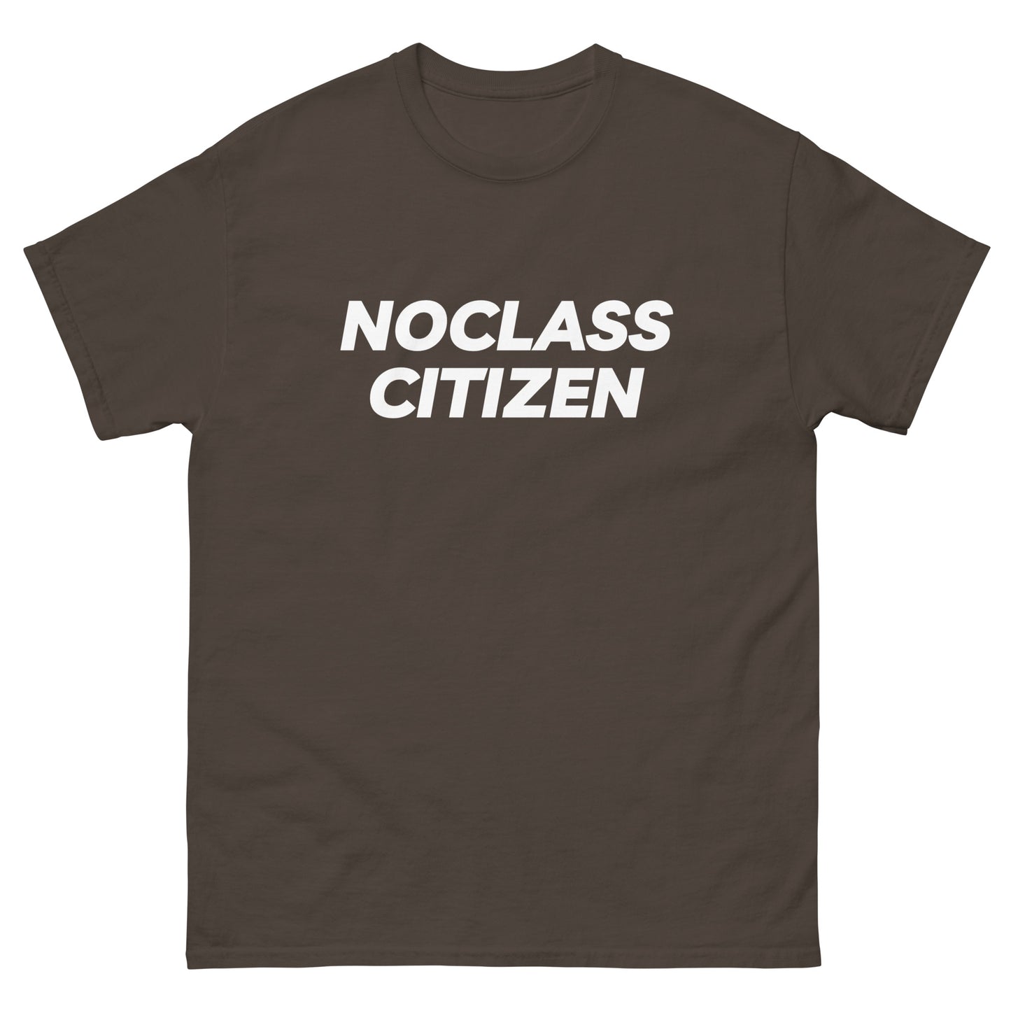 NOCLASS CITIZEN Text TRANSPARENT BACKGROUND - [Mid Class $$] Regular T-Shirt