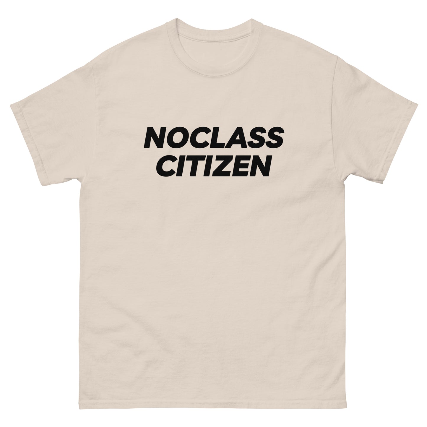 NOCLASS CITIZEN Text TRANSPARENT BACKGROUND - [Mid Class $$] Regular T-Shirt