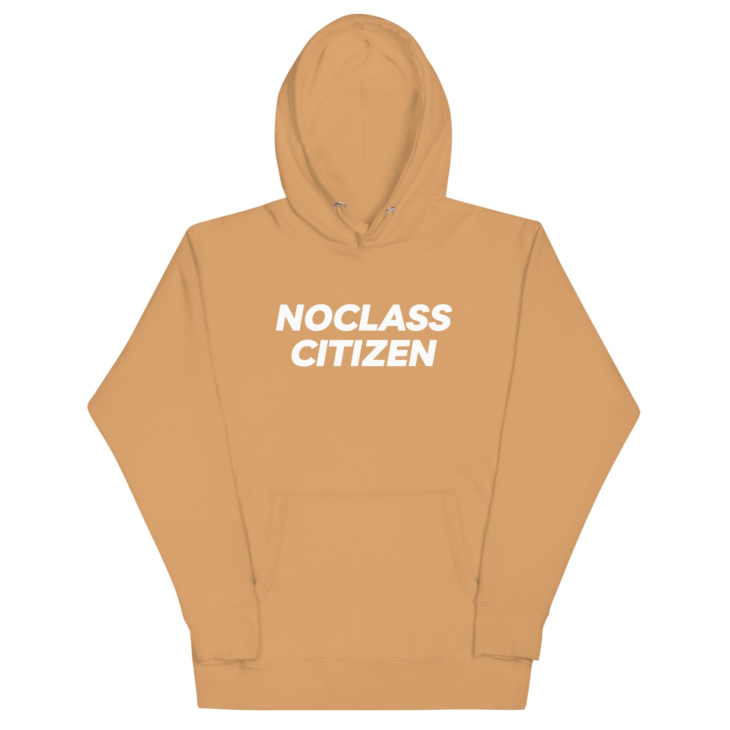 NOCLASS CITIZEN Face TRANSPARENT BACKGROUND - [High Class $$$] Premium Hoodie