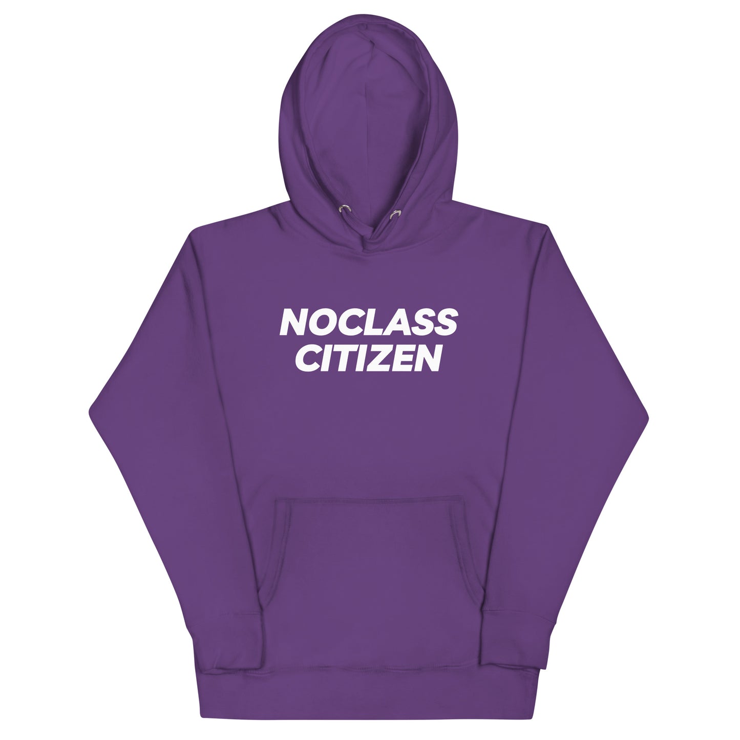 NOCLASS CITIZEN Face TRANSPARENT BACKGROUND - [High Class $$$] Premium Hoodie